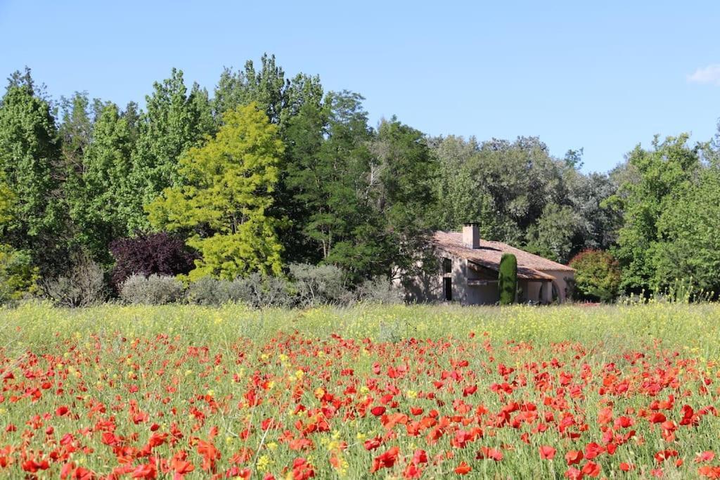 Le Jardin D'erables St Remy 7 Ha Piscine/clim * Paluds de Noves