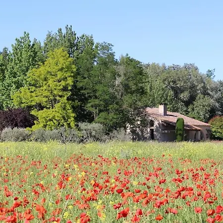 Le Jardin D'Erables St Remy 7 Ha Piscine/Clim Vila Paluds de Noves Exterior foto