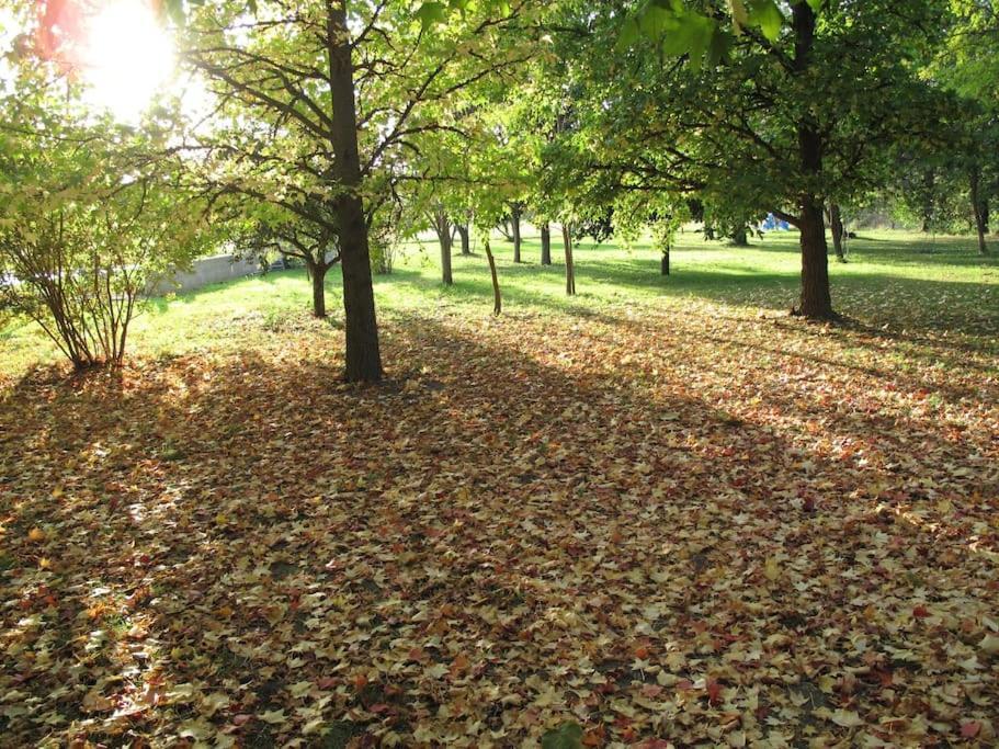 Hébergement de vacances Le Jardin D'érables St Remy 7 Ha Piscine/clim