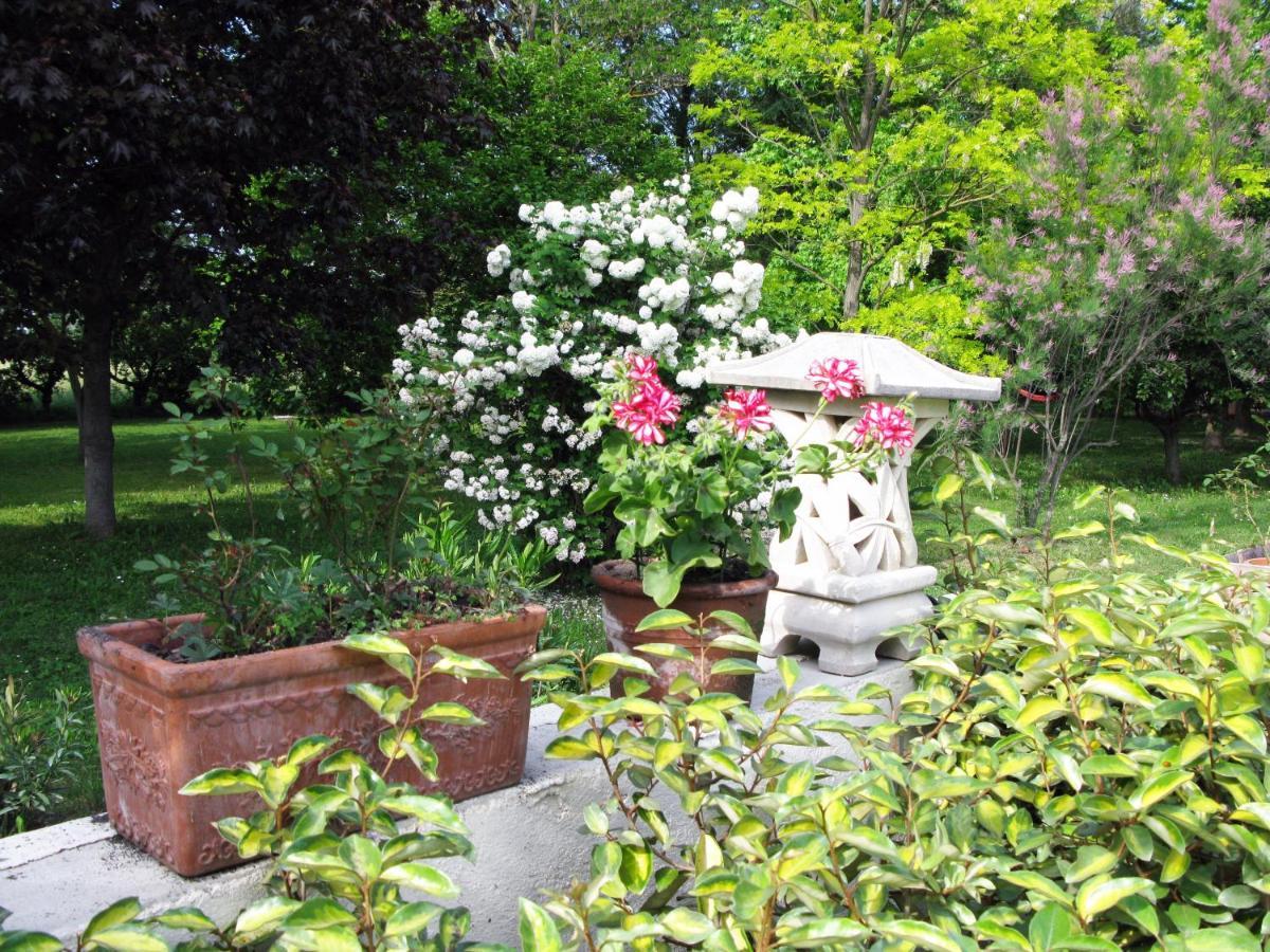 Le Jardin D'érables St Remy 7 Ha Piscine/clim Hébergement de vacances